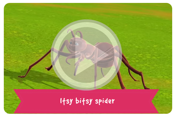 Itsy-bitsy-spider