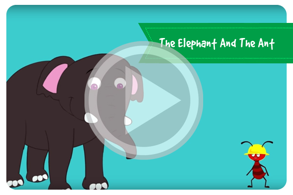 Elephant & The Ant Story