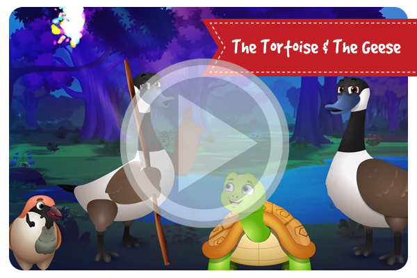 The Tortoise & The Geese
