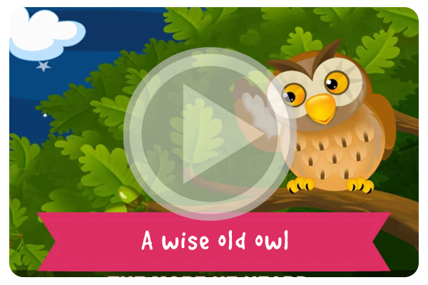 a-wise-old-owl