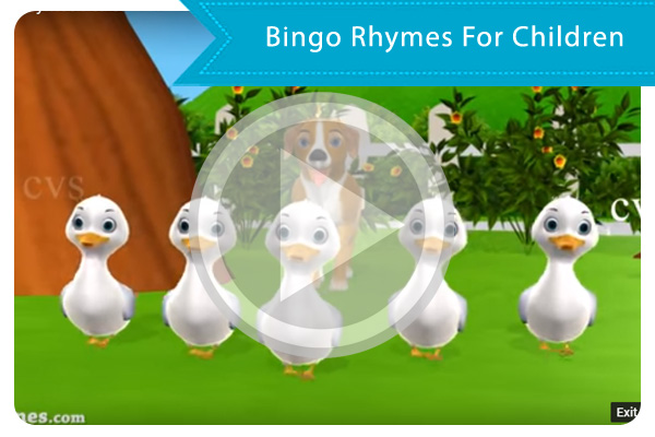 Bingo Song | Bingo Rhymes For Children + More 3D Animation Nursery Rhymes & Kids
