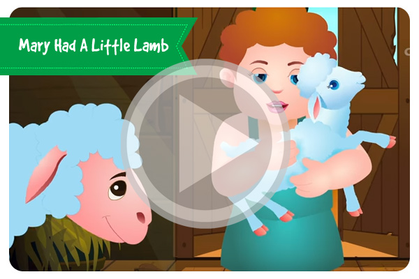 Mary Had A Little Lamb Nursery Rhyme With Lyrics
