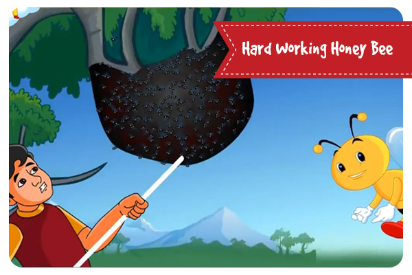 Hard Working Honey Bee 