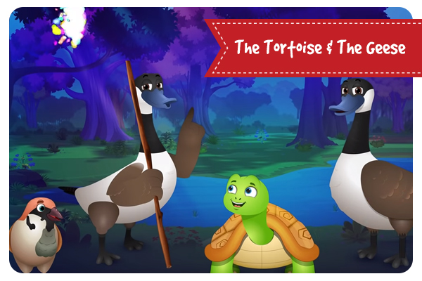The Tortoise & The Geese