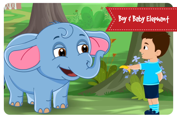 Boy & Baby Elephant - Bedtime Stories for Kids in English