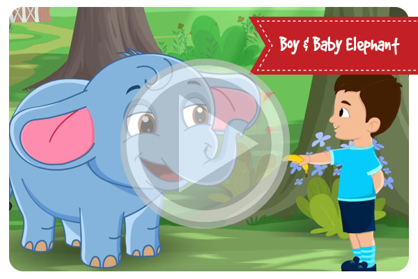 Boy & Baby Elephant - Bedtime Stories for Kids in English