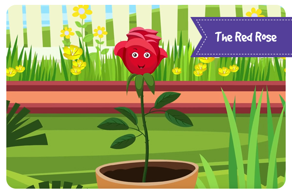 THE RED ROSE | ENGLISH ANIMATED STORIES FOR KIDS