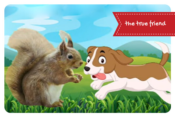 Short story/moral stories for kids/the true friend//English/A squirrel and A puppy