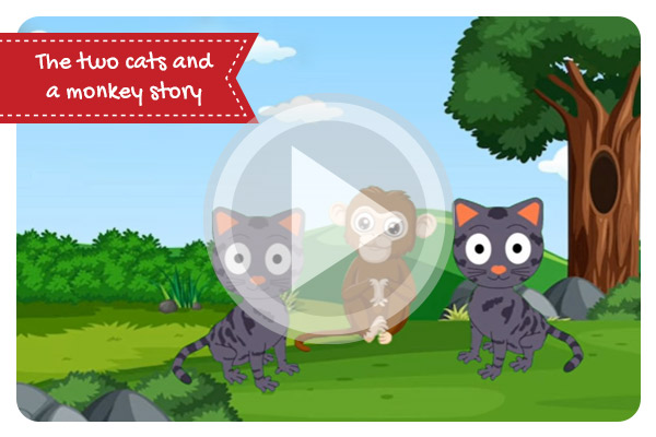 The two cats and a monkey story/short story in english for kids